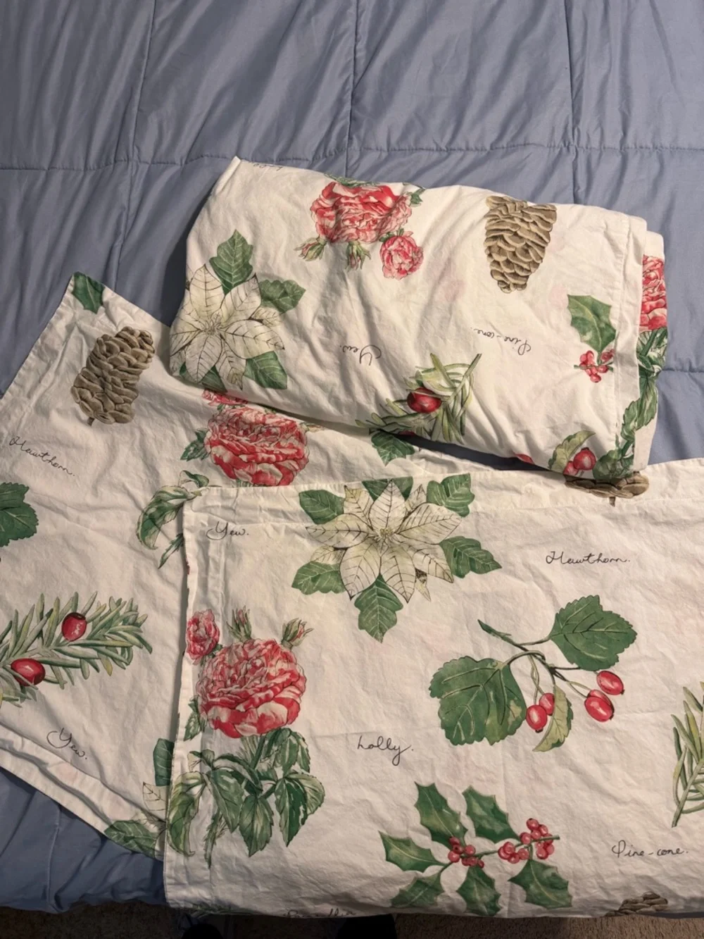 Pottery barn Holly botanical and poinsettia shams and duvet cover